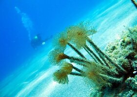 Giardini Naxos Italy Resort