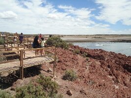 Punta Tombo National Reserve