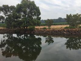 Bushtucker River & Wine Tours