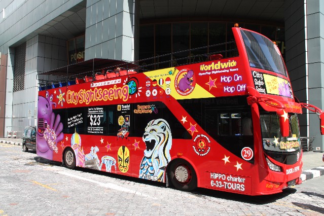 HiPPO Bus Sightseeing Tour
