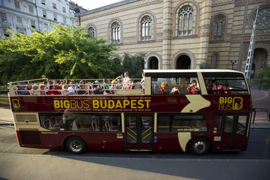 Big Bus Tours Hop-On Hop-Off Sightseeing
