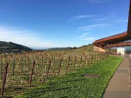 Enoteca Antinori