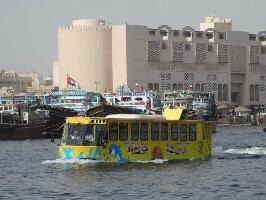 Wonder Bus Tours day tour
