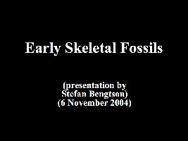 Swedish Museum of Natural History