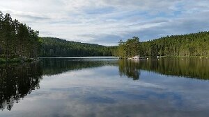 Wild Sweden - Day Tours