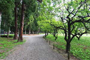 Kairakuen Park