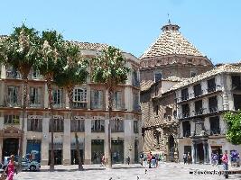 Welovemalaga - Walking & Tapas Tours