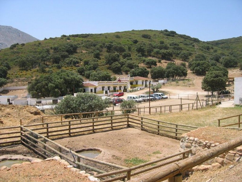 Lobo Park