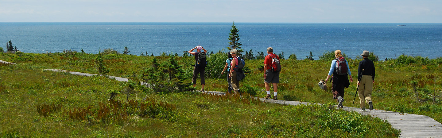 Halifax Free Walking Tours