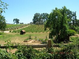 Sutter Creek United States Wine Tasting