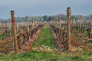 Westport Rivers Vineyard & Winery