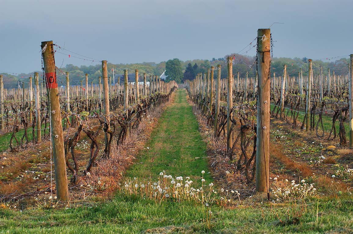 Westport Rivers Vineyard & Winery