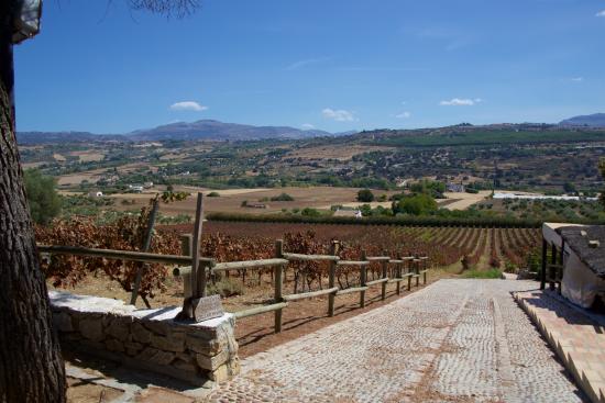 Joaquin Fernandez Bodega