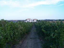 Bodega Garcia Hidalgo