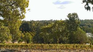 Carldenn Homestead Wines