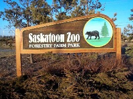 Saskatoon Forestry Farm Park & Zoo
