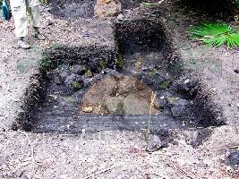 Marco Gonzalez Maya Site