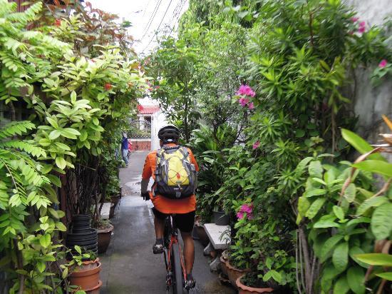 Velo Thailand - Private Day Tours