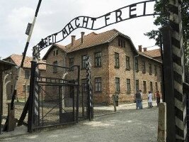 Auschwitz-Krakow Tours
