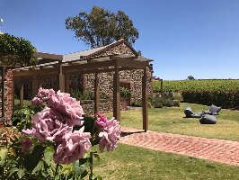 Greenock Australia Vineyard