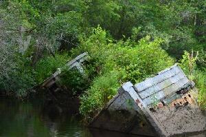 Waccamaw River Tours