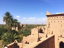 Best Travel Morocco - Day Tours