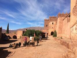 Authentic Morocco - Day Tours
