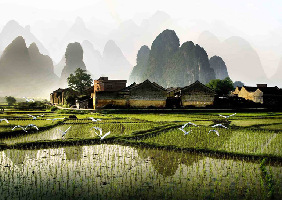 Discover China Tours-Day Tour