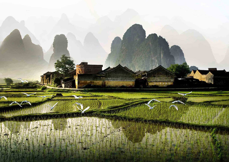 Discover China Tours-Day Tour