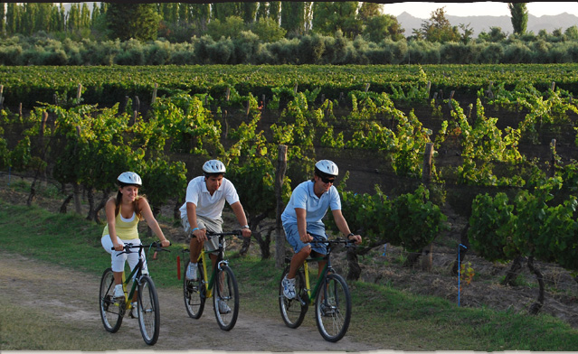 Mendoza Wine Bike Tour