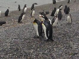 Pira Tour - Day Tours