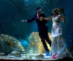 Benalmadena Spain Aquarium