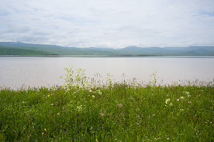 Lake  Arpi Road Armenia Lake