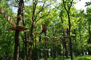 Pantelimon Romania Park