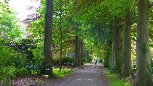 Middelheimpark