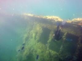 Freediving Coron