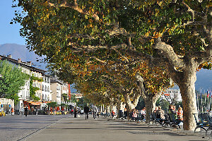 Piazza G. Motta