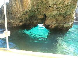 Capri Whales di Wendy