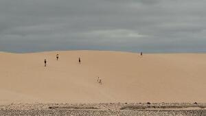 Dunas Surfcamp