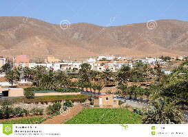 Fuerte Authentic Tours