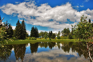 Riserva Naturale di Pian di Gembro