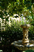 Paleokastritsa Monastery