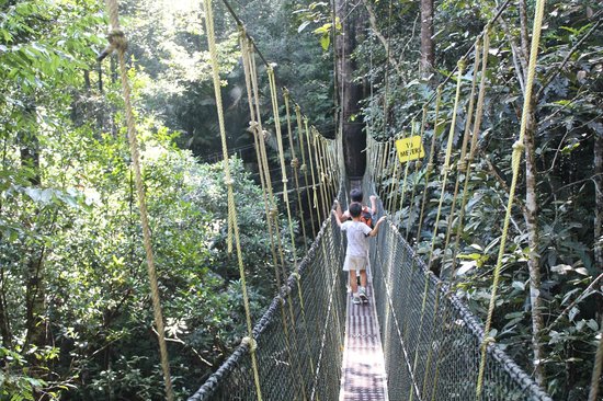 Penang National Park (Taman Negara Pulau Pinang)