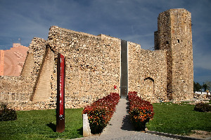 Circ Roma