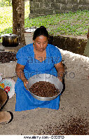 Agouti Cacao Farm