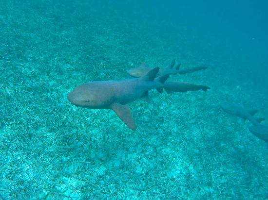 E-Z Boy Tours - Private Tour