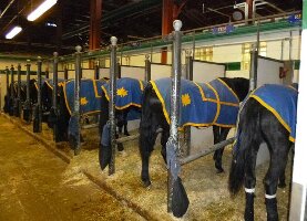 Royal Canadian Mounted Police Musical Ride Centre