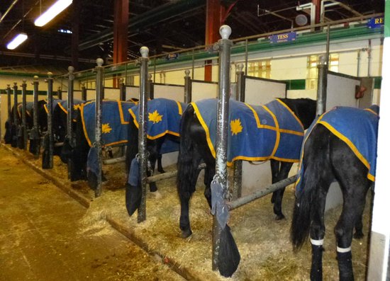 Royal Canadian Mounted Police Musical Ride Centre