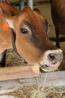 Canada Agriculture and Food Museum