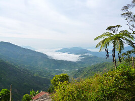 Palenque Tours Colombia